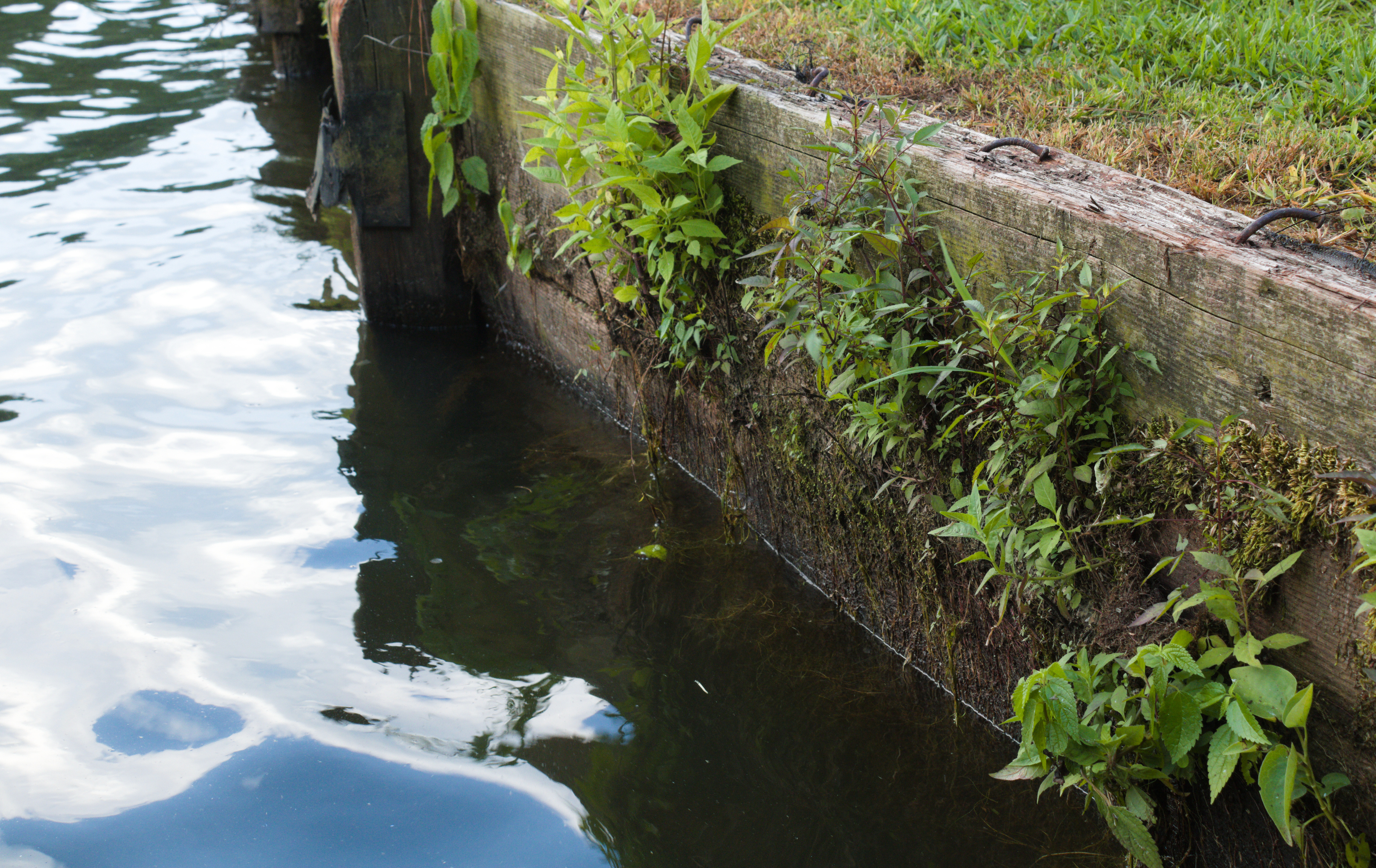 Enhance Your Lakefront Property with Retaining Walls in Michigan